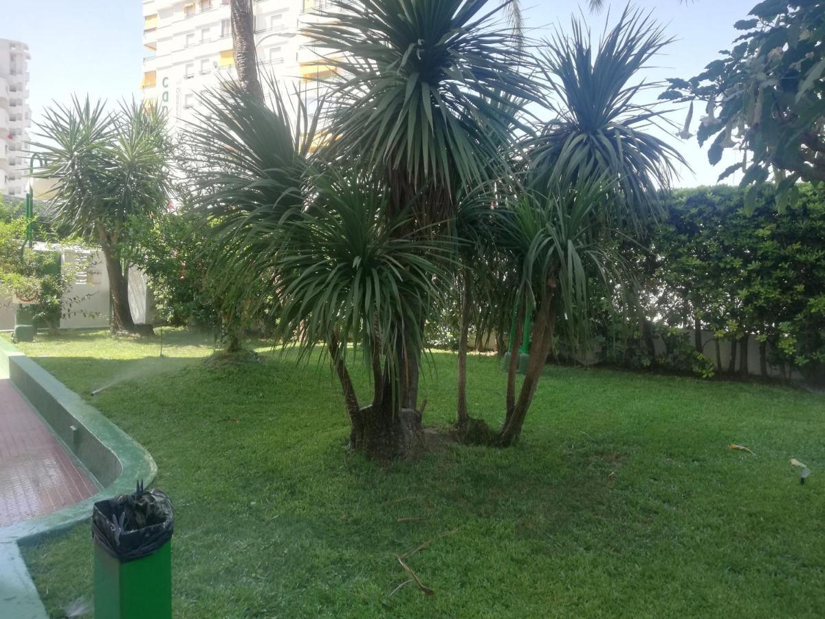 Cancun III Solo Familias Serviplaya Gandía Eksteriør bilde
